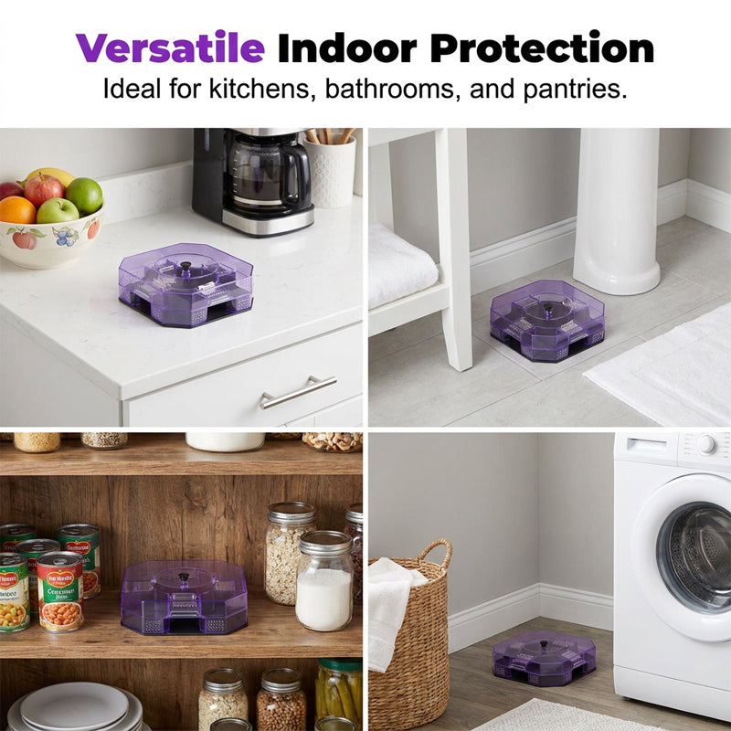 🥳2026 HOT SALE🥳💞50K+ SOLD!♻️ Reusable Roach Trap – Physical capture, no toxic sprays. One‑way doors, easy to check & clean. Safe for homes with kids & pets! 🏠✨