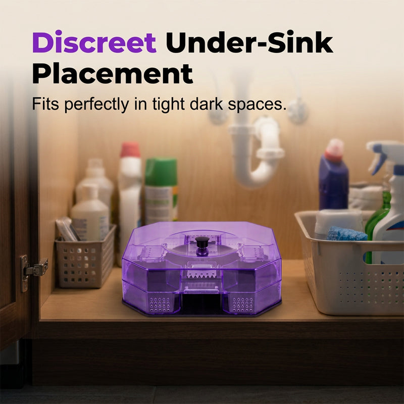🥳2026 HOT SALE🥳💞50K+ SOLD!♻️ Reusable Roach Trap – Physical capture, no toxic sprays. One‑way doors, easy to check & clean. Safe for homes with kids & pets! 🏠✨
